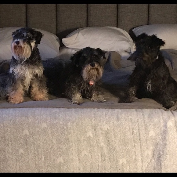 Meet your Posher, Nate. - Picture 4 of 7